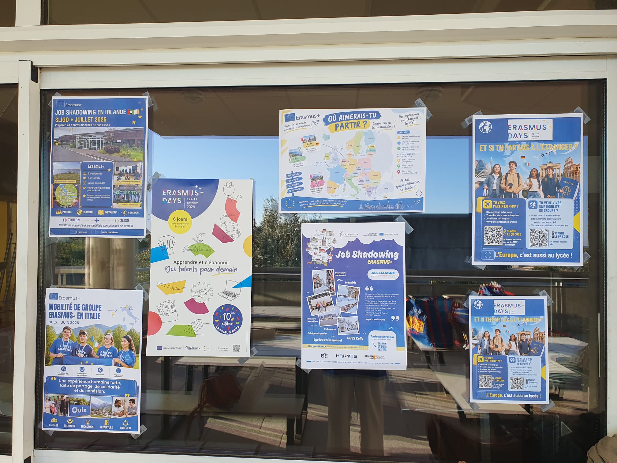 WhatsApp Image 2026-10-15 at 17.09.50